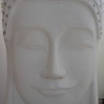 budda-b